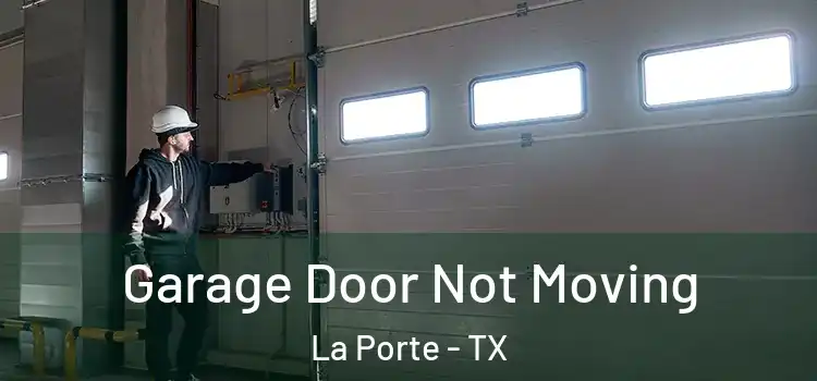  Garage Door Not Moving La Porte - TX