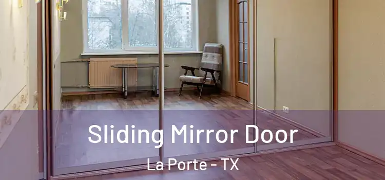  Sliding Mirror Door La Porte - TX